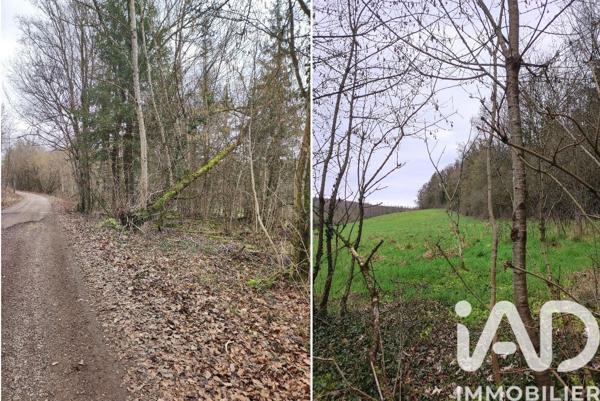 Terrain à vendre 5 998 m² Pont-à-Mousson