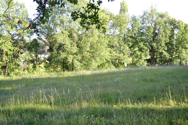 SECTEUR LARCHE/La Feuillade- TERRAIN 2000 m2 avec TOUT A L EGOUT