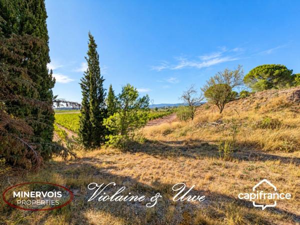 AZILLE – MAISON DE 184 M² AU MILIEU DES VIGNES AVEC PISCINE ET PANNEAUX SOLAIRES