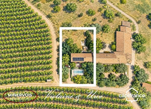 AZILLE – MAISON DE 184 M² AU MILIEU DES VIGNES AVEC PISCINE ET PANNEAUX SOLAIRES