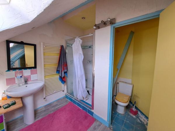 Triplex d'habitation avec  grande terrasse, divisible en lots distincts.