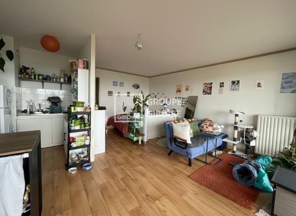 Appartement T1 à vendre Rennes Bourg L'evêque - 31 m² (réf : MD26199)