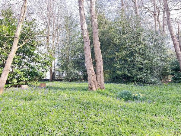 Maison confidentielle en forêt privée – Une signature rare entre nature souveraine et élégance absolue