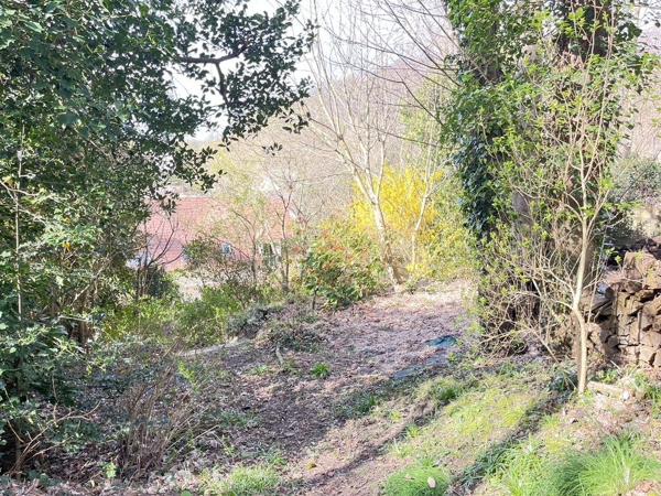 Maison confidentielle en forêt privée – Une signature rare entre nature souveraine et élégance absolue