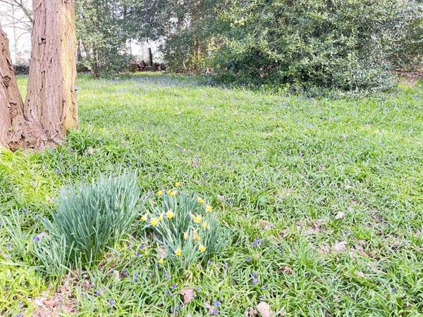 Maison confidentielle en forêt privée – Une signature rare entre nature souveraine et élégance absolue