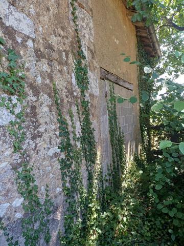 Maison ancienne et terrain constructible