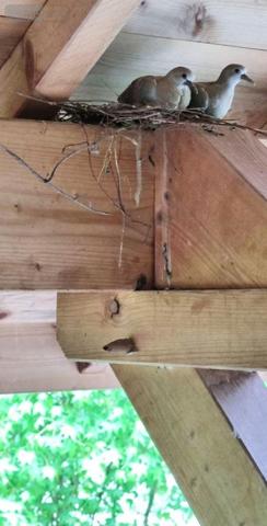 Propriete à vendre à Le Pont-de-Beauvoisin en Isère (38480), ref : 73007-136