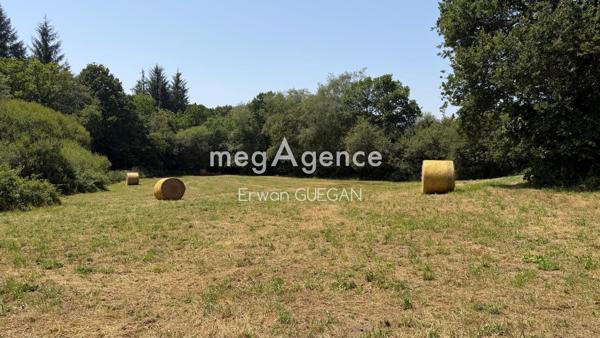 Maison à LANGOELAN, 56160 - 4 pièces 250m²