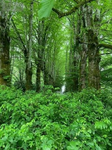 Propriete à vendre à Liffré en Ille-et-Vilaine (35340), ref : 008/2946