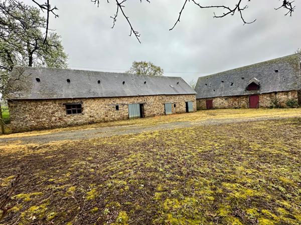 Maison à SAINT-GEORGES-BUTTAVENT, 53100 - 8 pièces 350m²