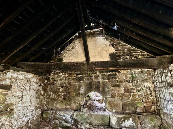 Maison à SAINT-GEORGES-BUTTAVENT, 53100 - 8 pièces 350m²