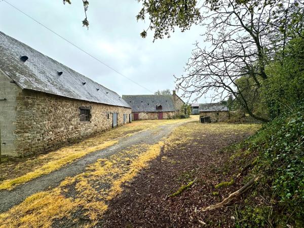 Maison à SAINT-GEORGES-BUTTAVENT, 53100 - 8 pièces 350m²