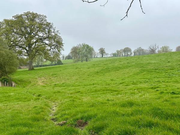 Maison à SAINT-GEORGES-BUTTAVENT, 53100 - 8 pièces 350m²