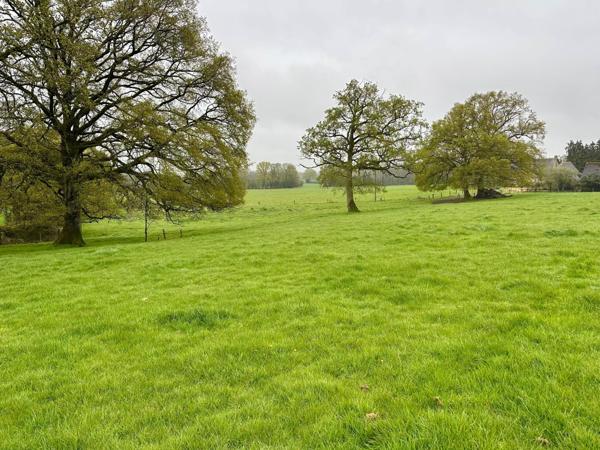 Maison à SAINT-GEORGES-BUTTAVENT, 53100 - 8 pièces 350m²