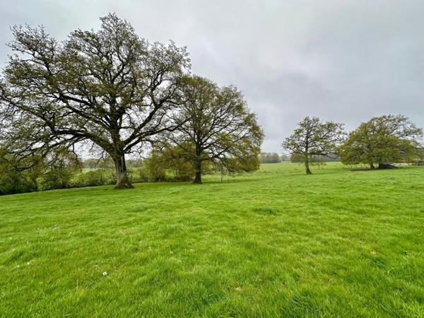 Maison à SAINT-GEORGES-BUTTAVENT, 53100 - 8 pièces 350m²