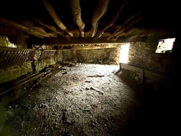 Maison à SAINT-GEORGES-BUTTAVENT, 53100 - 8 pièces 350m²