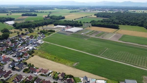Vente / Terrain constructible