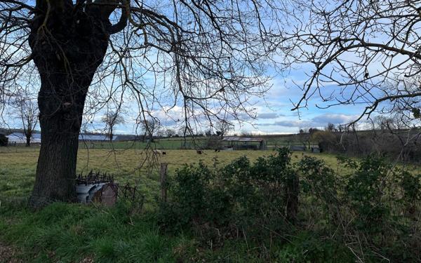 Terrain à vendre    Lavault-Sainte-Anne