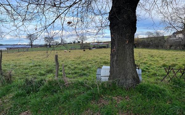 Terrain à vendre    Lavault-Sainte-Anne