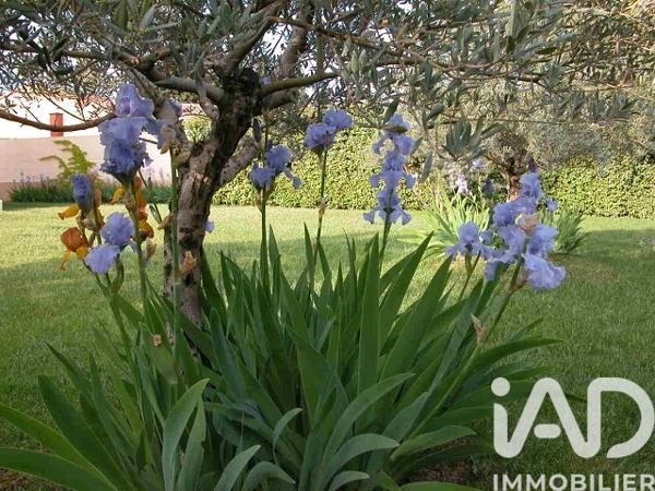 Maison à vendre 4 pièces 157 m² Avignon