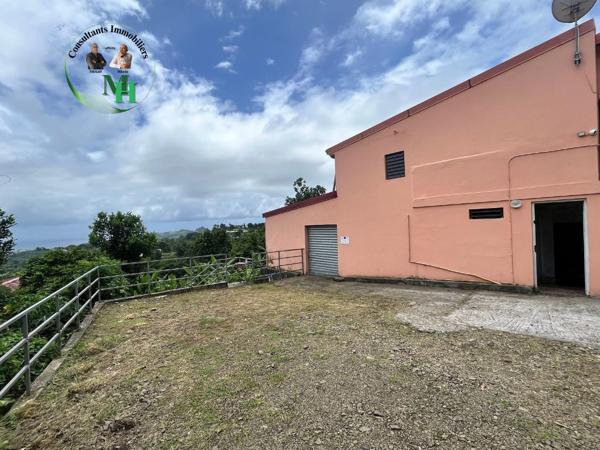 Local Commercial 1 pièce - 132 m²