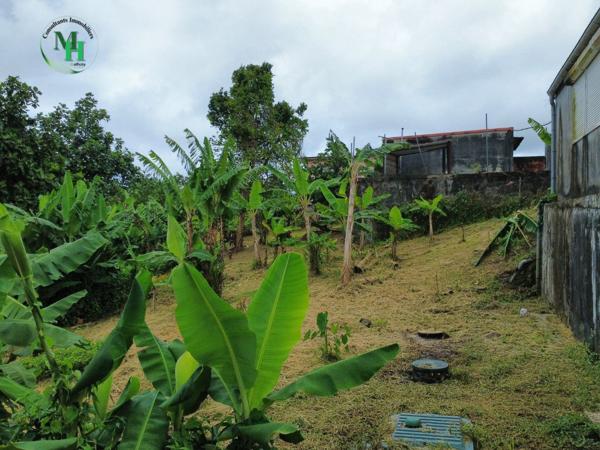 Local Commercial 1 pièce - 132 m²