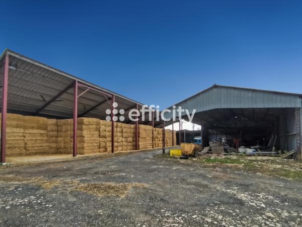 Maison 6 pièces - 159 m²