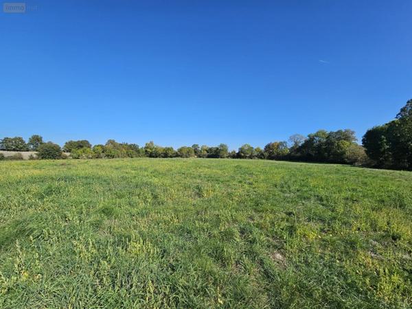 Maison individuelle à vendre à Bressuire dans les Deux-Sèvres (79300), ref : 79025- 299-79025