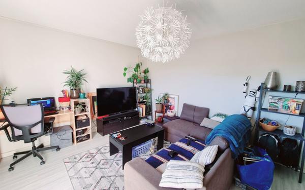 Appartement à louer    2 pièces • 45 m2 Albi