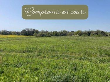 Terrain de loisirs - Bois - Etang à vendre à Trégunc dans le Finistère (29910), ref : 29118-1499