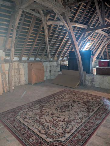 Chouzé sur Loire 37140 - Longère de charme – Vue Loire & potentiel chambres d’hôtes