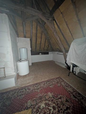 Chouzé sur Loire 37140 - Longère de charme – Vue Loire & potentiel chambres d’hôtes