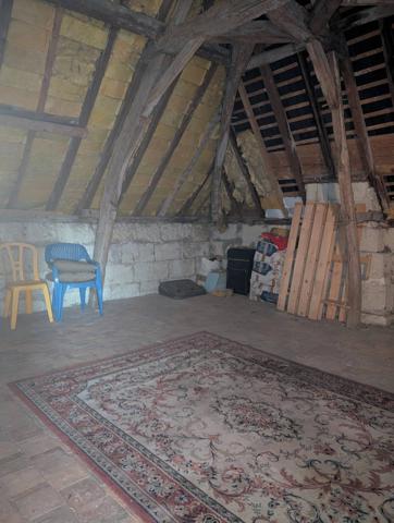 Chouzé sur Loire 37140 - Longère de charme – Vue Loire & potentiel chambres d’hôtes
