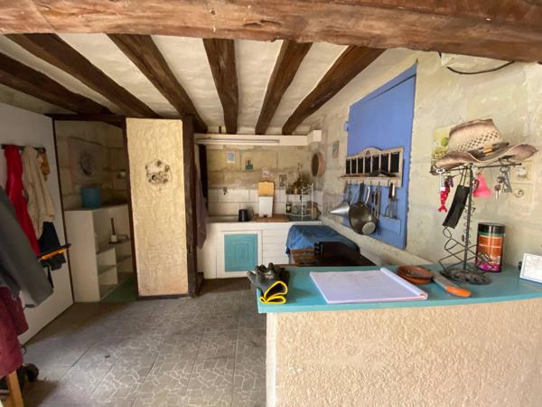 Chouzé sur Loire 37140 - Longère de charme – Vue Loire & potentiel chambres d’hôtes