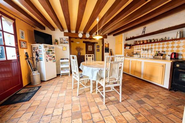 Chouzé sur Loire 37140 - Longère de charme – Vue Loire & potentiel chambres d’hôtes