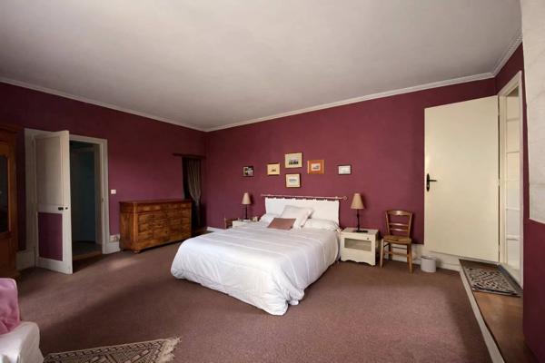 Chouzé sur Loire 37140 - Longère de charme – Vue Loire & potentiel chambres d’hôtes
