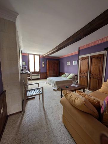 Chouzé sur Loire 37140 - Longère de charme – Vue Loire & potentiel chambres d’hôtes