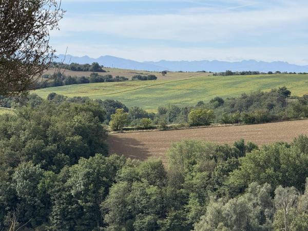 Vente / Ferme
