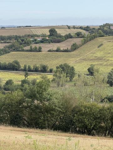 Vente / Ferme