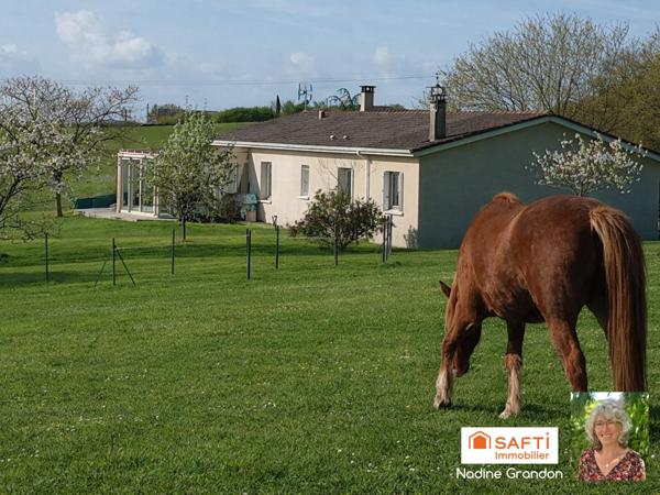 Nature, calme, piscine… et liberté