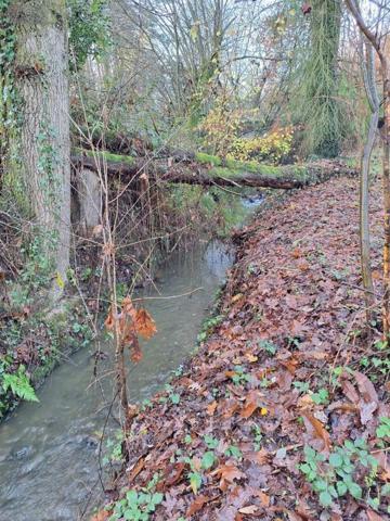 Maison à vendre à Guilliers dans le Morbihan (56490), ref : 05928