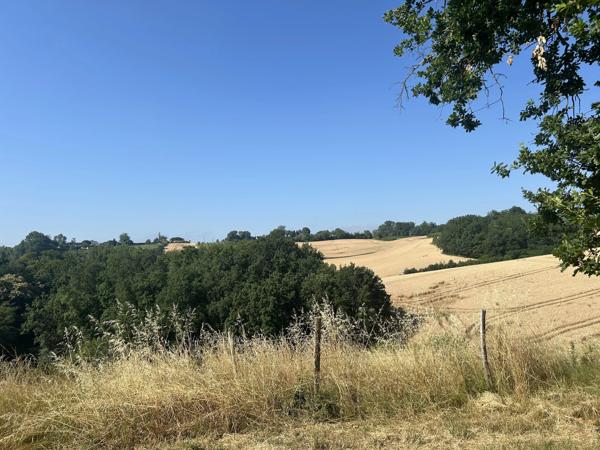 Ferme spacieuse de 220 m² avec maison d'amis et terrain équestre près de Moissac
