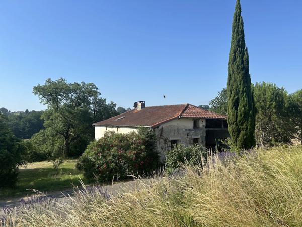 Ferme spacieuse de 220 m² avec maison d'amis et terrain équestre près de Moissac