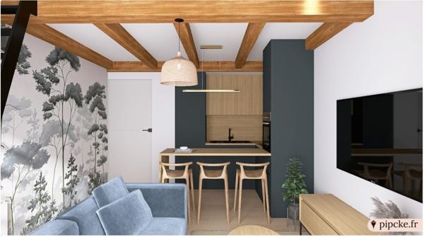 Demi-Quartier (74120) LA PRINCESSSE