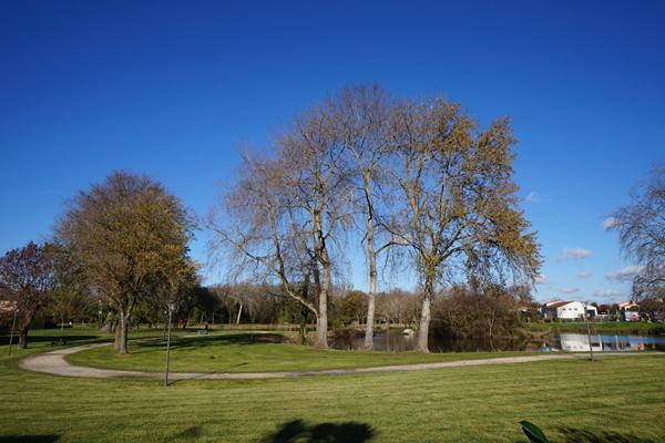 Maison à vendre à Saint Georges de Didonne - Référence 6088