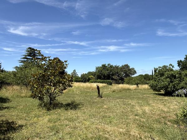 Environnement verdoyant et qualitatif