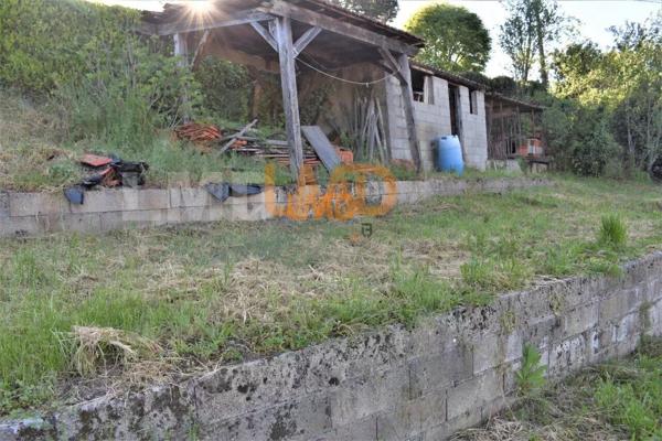 Grande Maison Avec Terrain