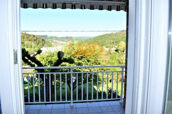 Grande Maison Avec Terrain