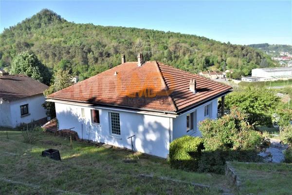 Grande Maison Avec Terrain