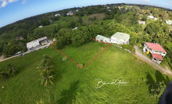 Terrain à vendre SAINTE ANNE (971)